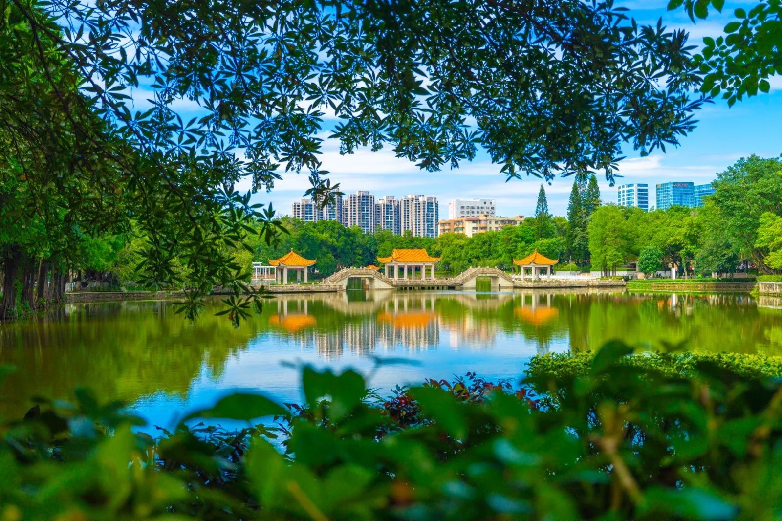 进来吸氧！一起拥抱中山的“绿”