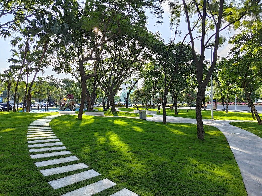 焕新升级！悦来南路东南角小游园蝶变归来，为城市添绿增韵