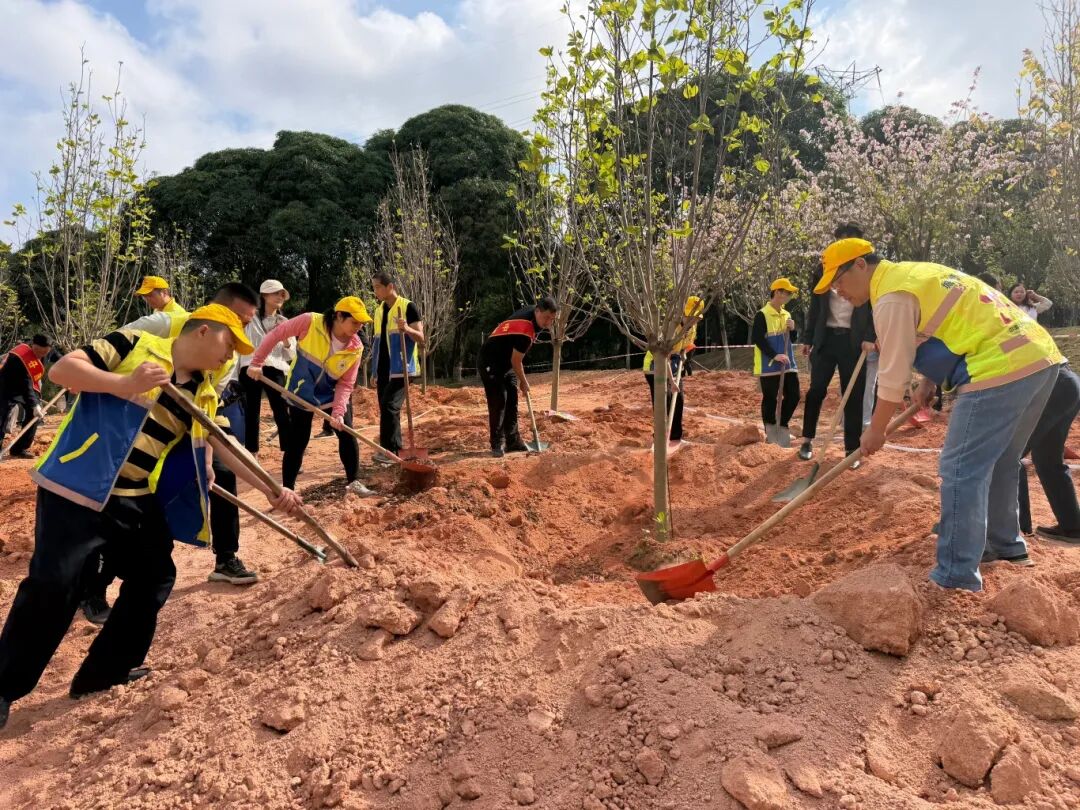 植树增绿齐动手 联动护绿谱新篇